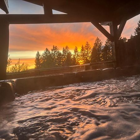 Chalet Avec Jacuzzi Prive, Vue Sur Les Vosges Belfahy Екстериор снимка