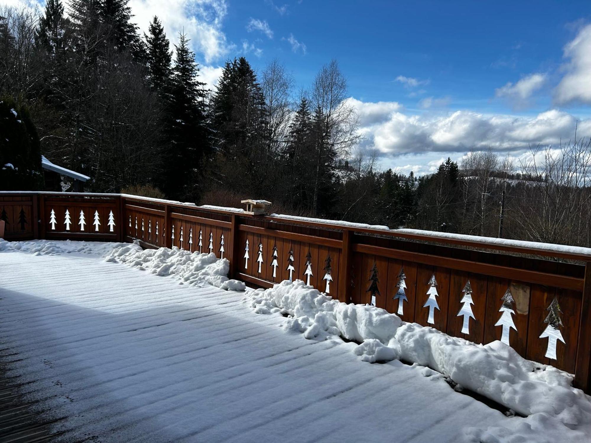 Chalet Avec Jacuzzi Prive, Vue Sur Les Vosges Belfahy Екстериор снимка